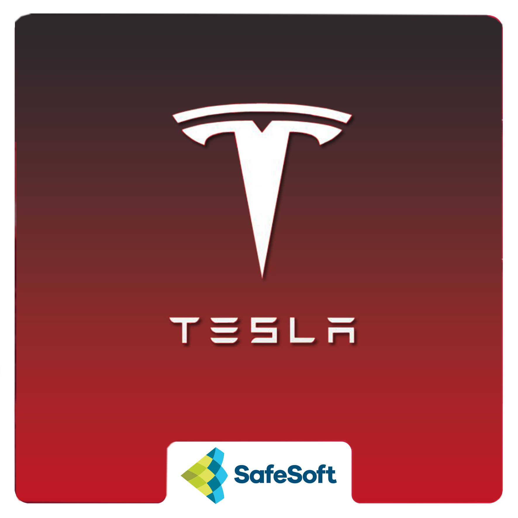 افشای گسترده اطلاعات تسلا